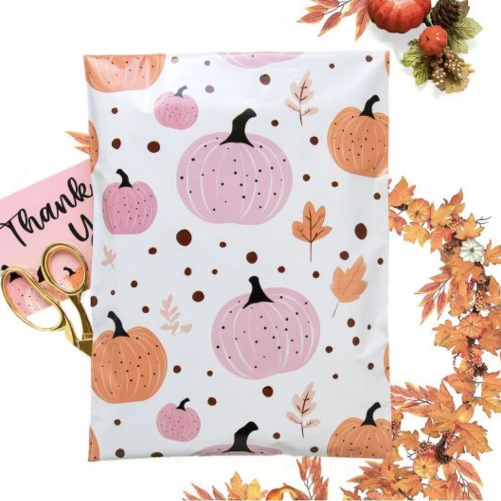 10 Polymailers 10x13 inches